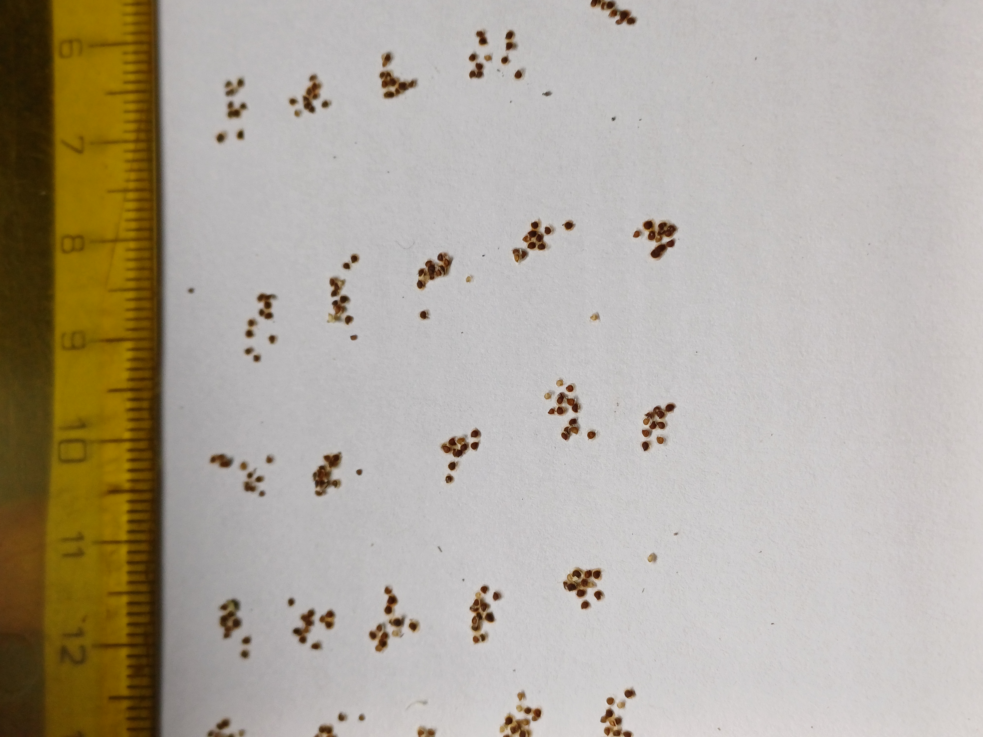 20250425_111028.jpg